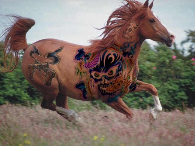 comenius_horse1.jpg