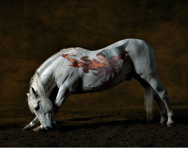 comenius_horse2.jpg